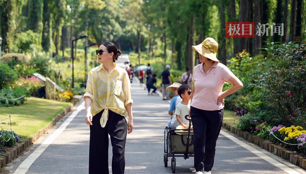 开户之行是什么意思